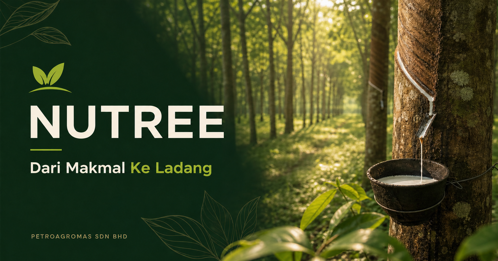Nutree — Dari Makmal Ke Ladang. Pokok getah dengan aliran lateks di ladang.